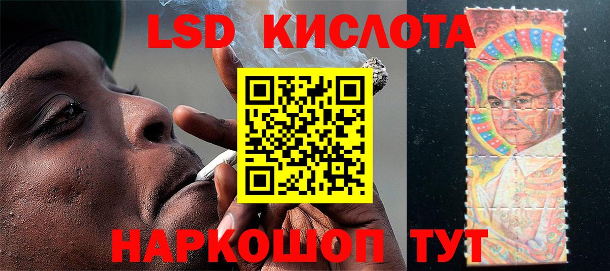 Галлюциногенные грибы Куйбышев