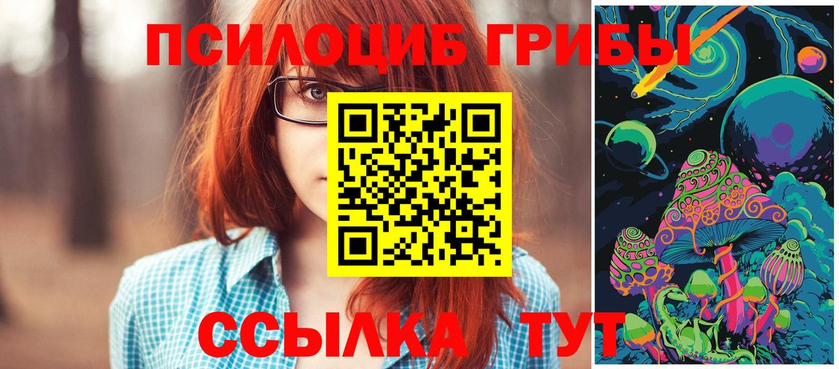 Псилоцибиновые грибы Psilocybine cubensis  Вход с VPN  Псилоцибиновые грибы Magic Shrooms  Куйбышев 
